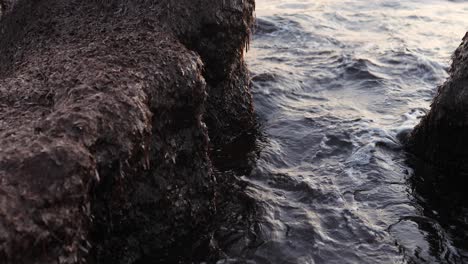 tilting from a rock over shore beach up to the sky before sunset in alghero, sardinia island in italy