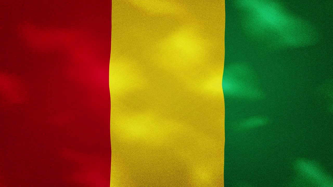 Guinea dense flag fabric wavers, background loop