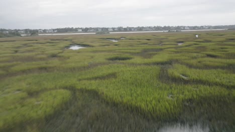 Drone-shot-of-birds-at-marsh