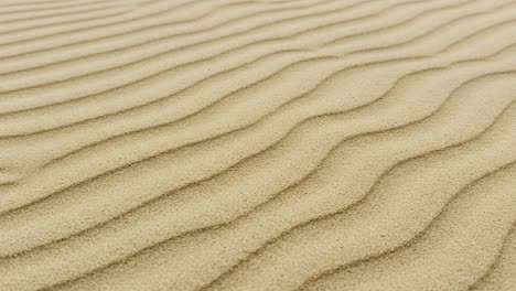 a serene landscape of gently waving sand dunes capturing the beauty and tranquility of natural patterns and textures found in arid environments