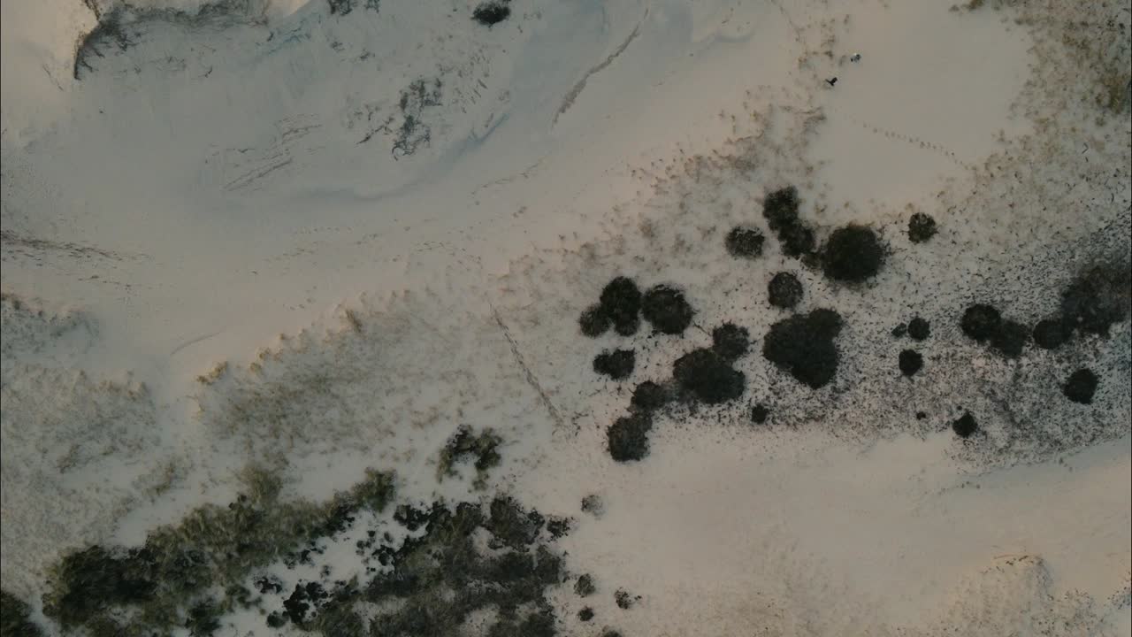 Bird's eye view above people exploring sand dune slopes as birds fly over open scrub landscape in Provincetown Massachusetts