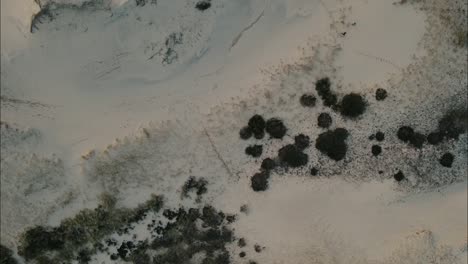 Bird's-eye-view-above-people-exploring-sand-dune-slopes-as-birds-fly-over-open-scrub-landscape-in-Provincetown-Massachusetts