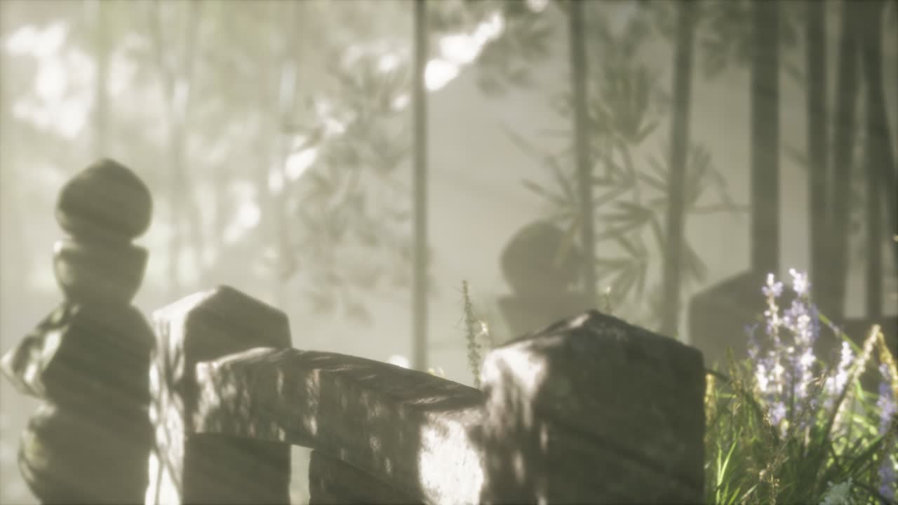 일본 대나무 숲 과 녹색 초원 잔디 와 자연 빛