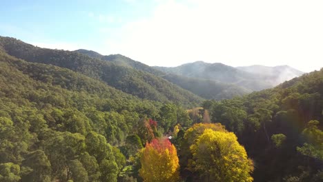 Morning-fog-over-Australian-hillside