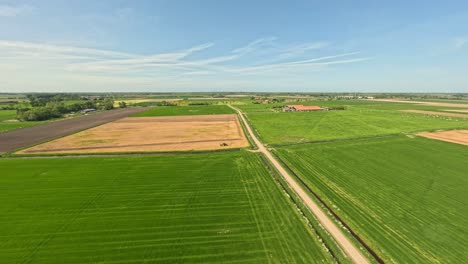 Toma-Rápida-De-Drones-De-Baja-A-Alta-Que-Muestra-El-Hermoso-Campo-Holandés-Durante-Un-Día-Soleado-De-Verano