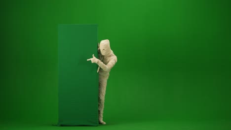 mummy character peeking and pointing on green screen