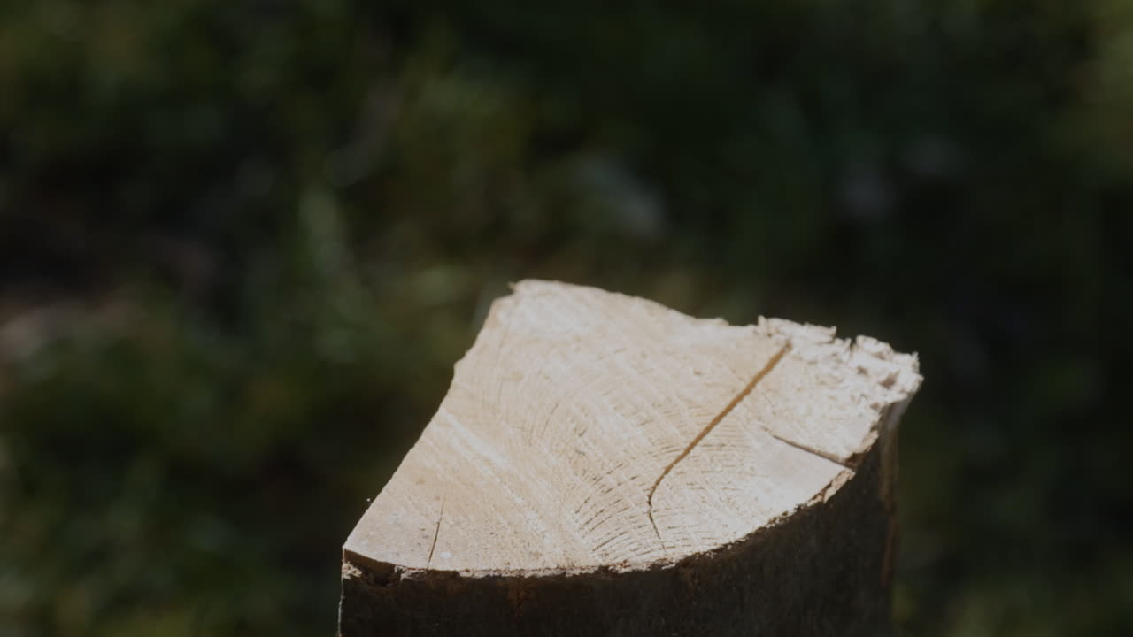Chopping wooden log with an axe