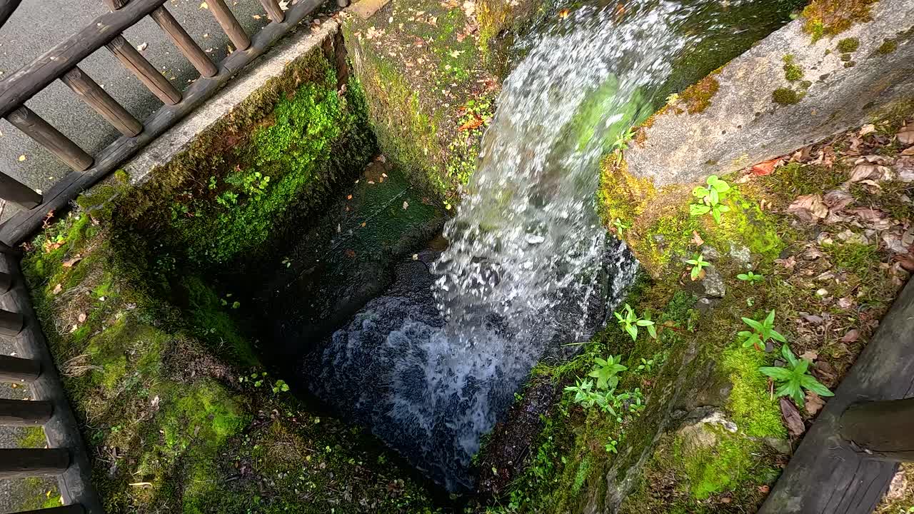 Water flowing into a mossy stone basin