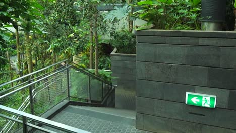 Changi-airport-greenery-garden-steps-closeup-view-in-Singapore