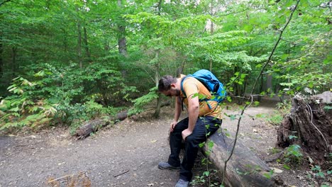 Müder-Und-Erschöpfter-Tourist,-Der-Sich-Auf-Einen-Umgestürzten-Baum-Im-Wald-Setzt,-Um-Eine-Pause-Zu-Machen-Und-Sich-Zu-Entspannen