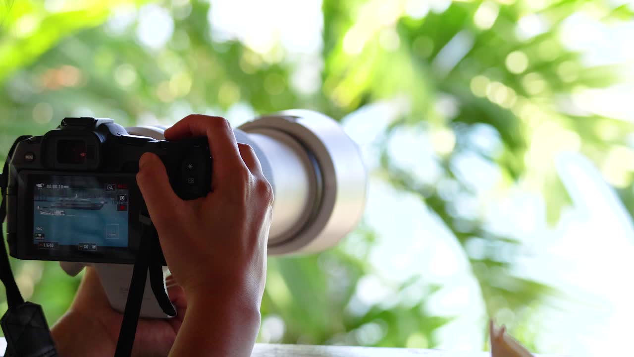 A photographer adjusts their camera in a lush, sunlit environment, focusing on capturing vibrant natural scenes in Phuket, Thailand