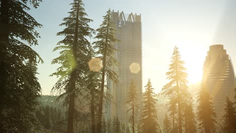 skysrapes and sunset