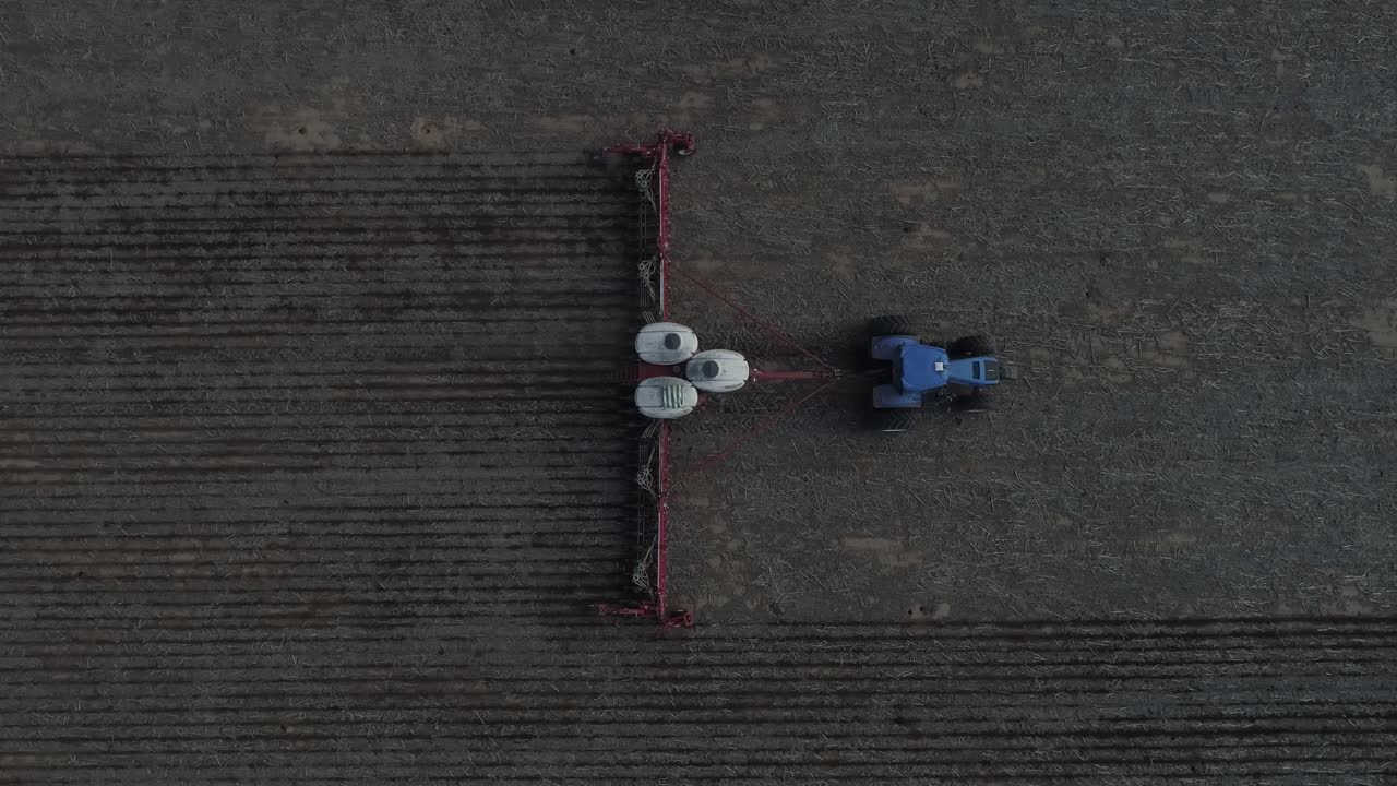 las cosechadoras levantando el maíz del campo, vista aérea