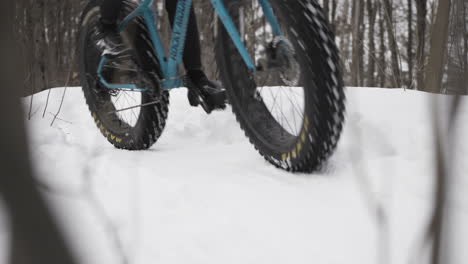 close up of fatbike tires on the snow trails
