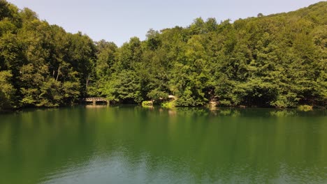 lago que refleja el paisaje verde vista aérea