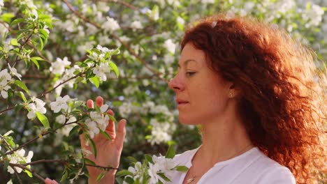woman enjoying spring apple blossoms
