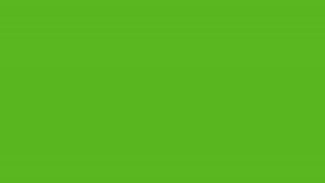 cerca de dos niños pequeños dándose unos a otros cinco contra la pantalla verde