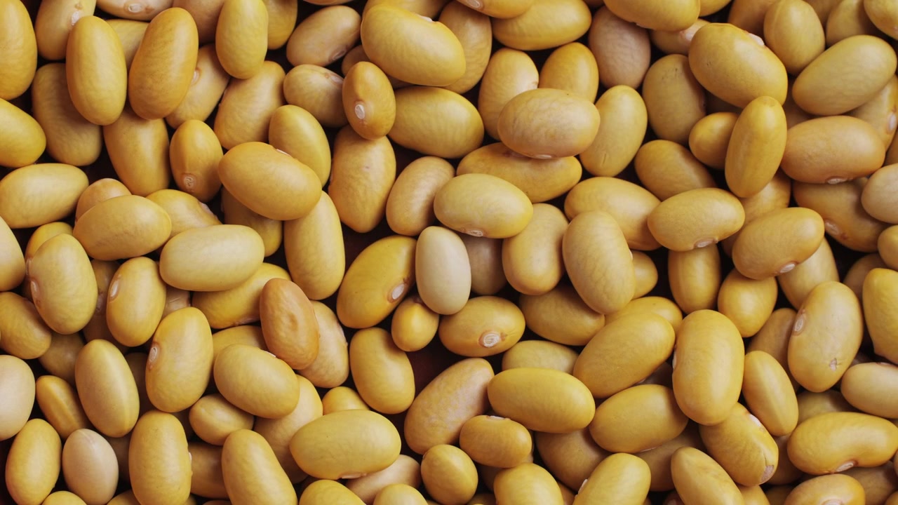 Yellow Beans Falling and Spreading, Filling the Frame
