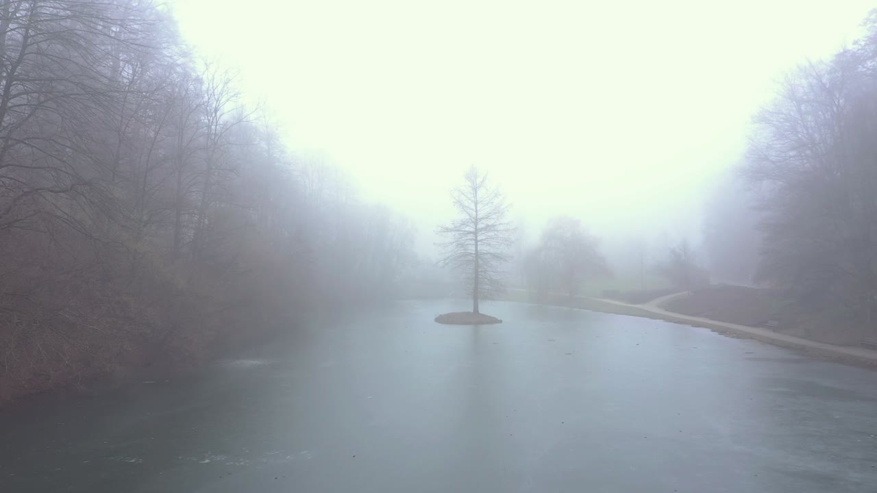 Aerial shot over lake with tree in the middle through the fog. Slowly flying towards tree.