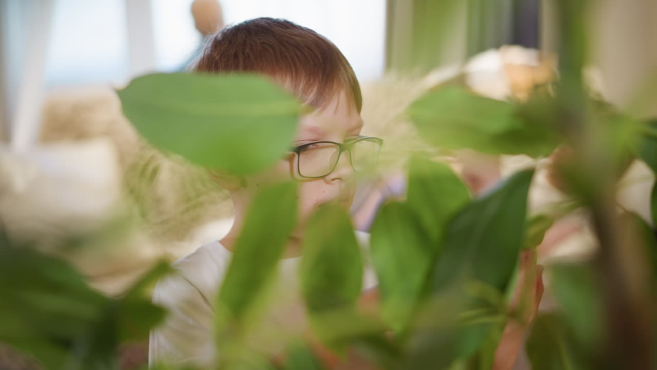Boy with glasses partially hidden behind green leaves indoors, focusing on plant care, engaging in nurturing activity, learning responsibility, mindfulness, and environmental awareness in home