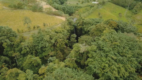 Kleiner-Wasserfall-Inmitten-Von-Bäumen-Im-Anden-Choco-Gebiet