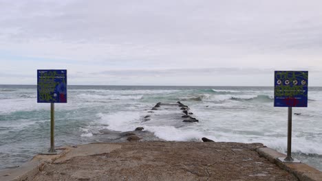 sewage outfall polluting the ocean shoreline