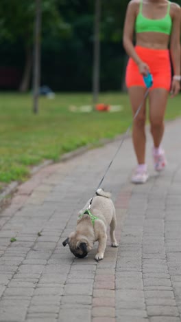 una mujer caminando con su pug en un parque.