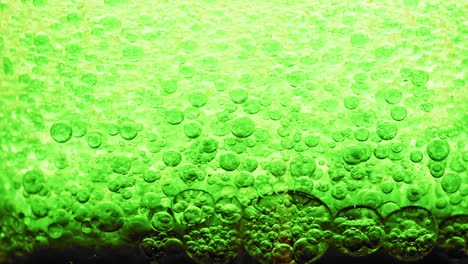 macro shot of many green bubbles setting on dark ground in water