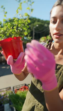 woman inspecting a potted plant at a garden market