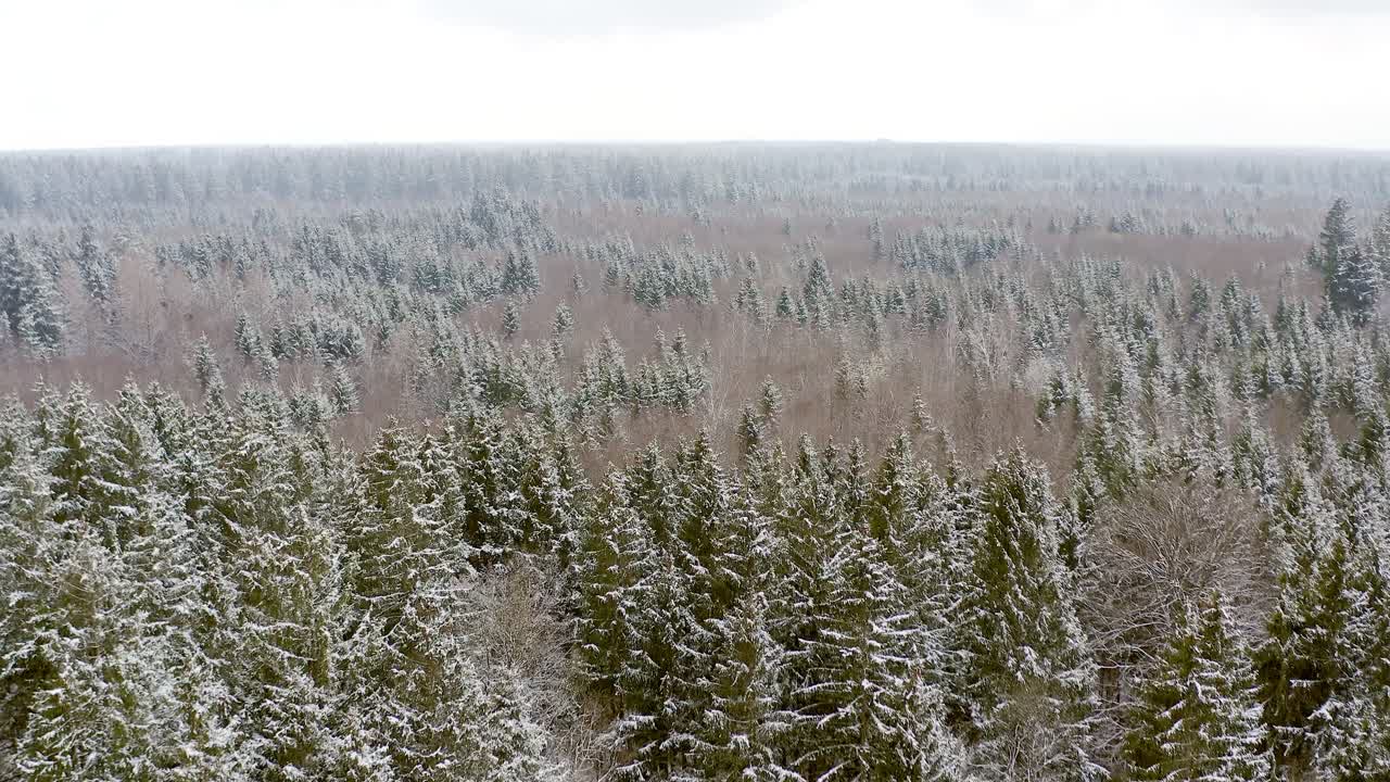 naturaleza maravillosa en invierno - vuelo suave de drones sobre un bosque parcialmente cubierto de nieve