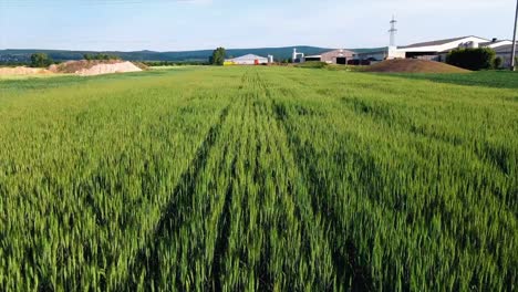 AERIAL---Beautiful-green-agricultural-farm-fields,-Austria,-wide-shot-forward