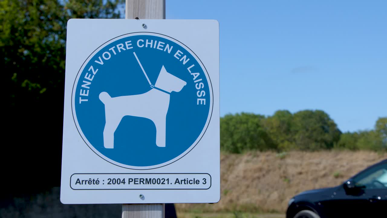 Moving vehicle passes blue dog leash sign on sunny rural roadside, clear daylight, static camera