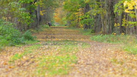 Paseos-En-Bicicleta-Por-Un-Sendero-Cubierto-De-Hojas-En-Otoño