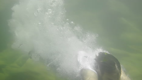 person diving into a cave river
