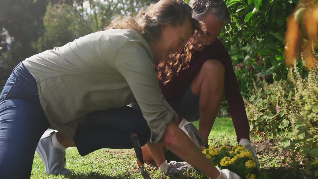 행복한 고등 백인 부부가 정원 가꾸고, 식물 을 돌보고,  ⁇ 빛 이 비치는 정원에서 웃고 있습니다.
