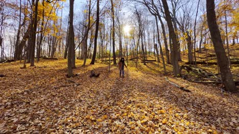 girl at a beautiful forest autumn afternoon sunshine minnesota