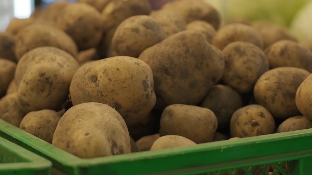 verduras orgánicas frescas en el mercado de los agricultores. verduras crudas