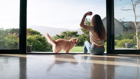 woman and dog looking out window at garden