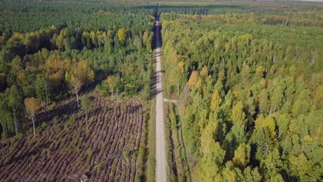 early autumn in forest, aerial top view, mixed forest, green conifers, deciduous trees with yellow leaves, fall colors woodland with gravel road, nordic forest landscape, wide angle establishing shot
