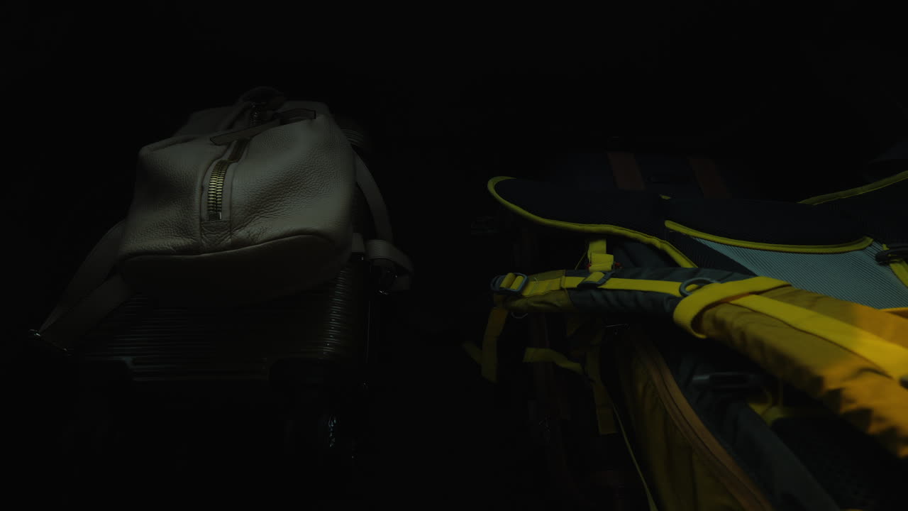 가방과 배낭은 차 트렁크에서 나옵니다.