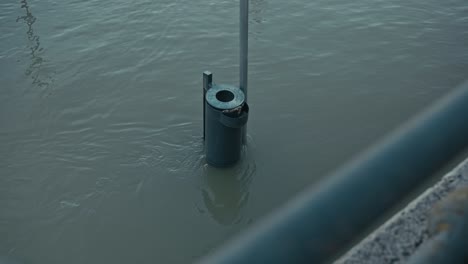 trash bin partially submerged in floodwaters near a pole, with calm water surrounding it, budapest, hungary