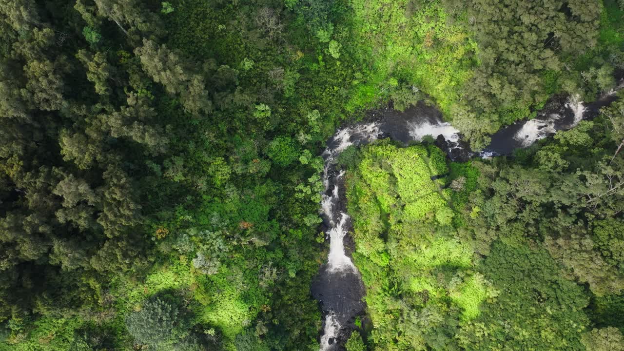 vista aérea de un río con múltiples cascadas cortadas a través de un bosque verde brillante