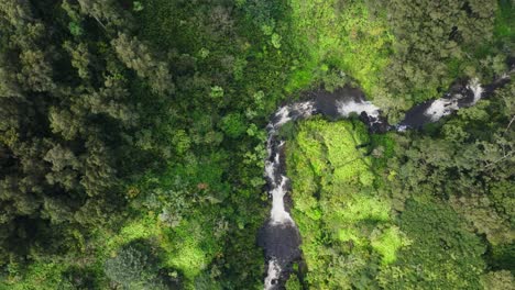 Aerial-birdseye-view-of-a-river-with-multiple-waterfalls-cut-through-bright-green-forest