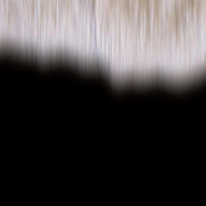 Black and Empty