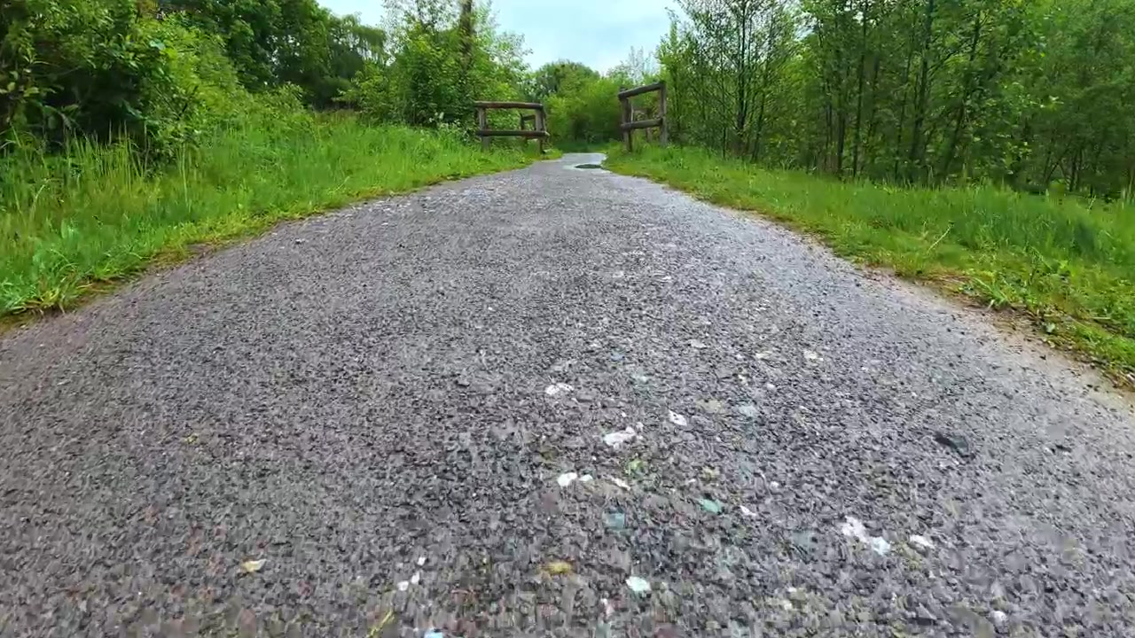 Low-angle, first-person perspective moving along a wet asphalt path through a lush green forest