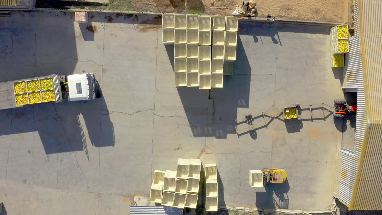 cuanto más rápido sea el proceso, más fresca será la fruta.