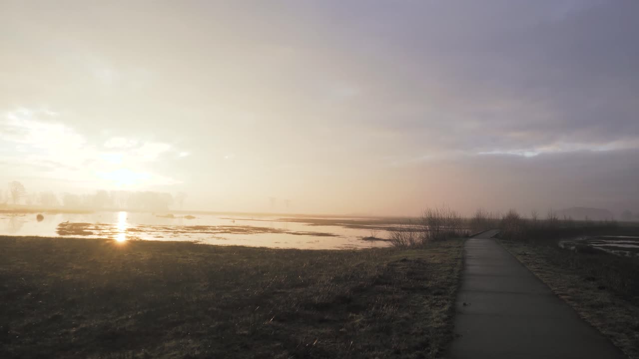 안개 가 가득 한 습지 길 을 가로질러 해가 뜨는 것