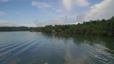 un'antenna sopra una canoa nativa sul fiume rio dulce in guatemala 1