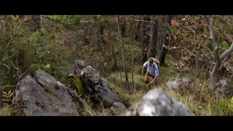 hombre caminando en un bosque