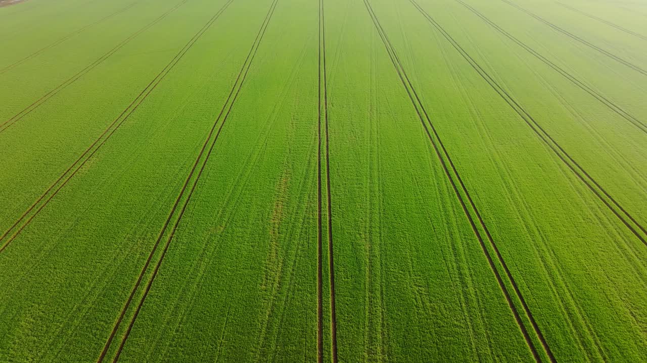 Drone captures artistic farmland textures from above on misty spring day, Latvia